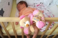 Tady-byly-Isabellce-2-tydny